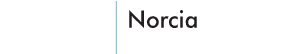 Norcia Insurance Consultants of MN & WI